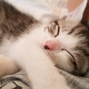 Meet your Posher, Luke